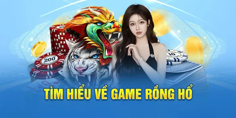 Dragon Tiger Tại Rikbet: Hấp Dẫn Người Chơi Với Luật Chơi Đơn Giản