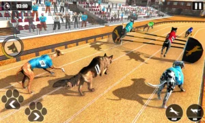 Hướng Dẫn Cách Chơi Game Nhanh Đua Chó Tại Rikbet Một Cách Hiệu Quả